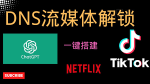 自建解锁服务器自建DNS实现流媒体解锁